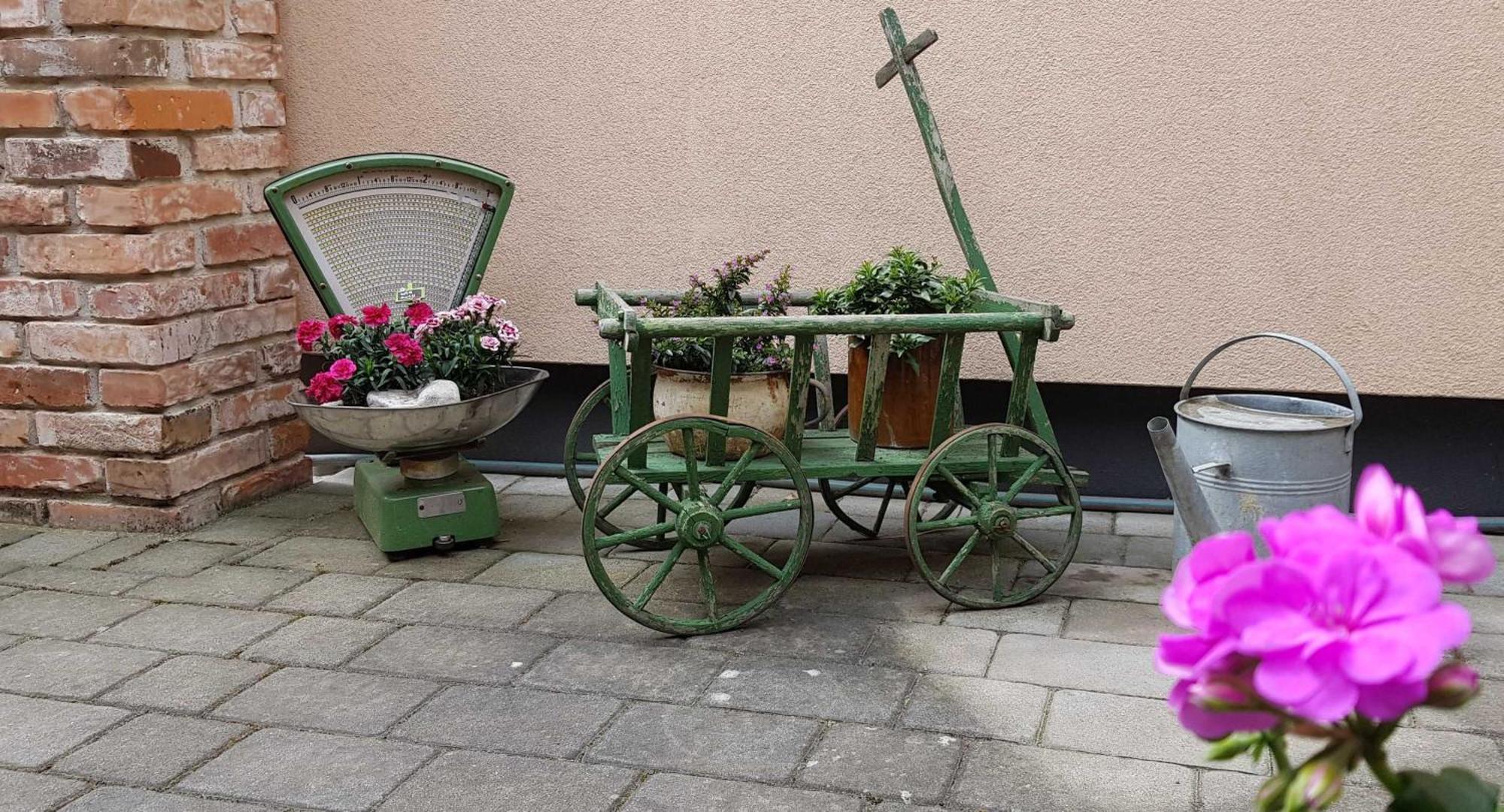Ferienwohnungen _ Haus Lisa_ 센프텐베르크 외부 사진