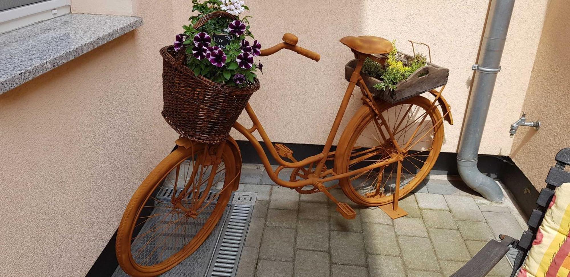 Ferienwohnungen _ Haus Lisa_ 센프텐베르크 외부 사진